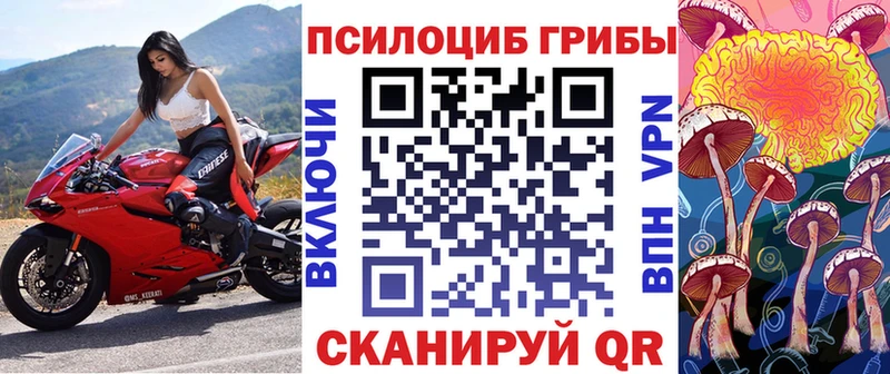 Галлюциногенные грибы Psilocybe  Купить  Волжский 